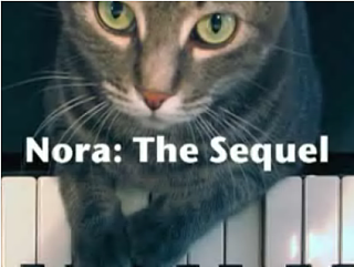Piano Playing Cat Gives An Encore Performance
